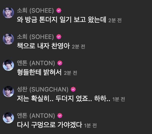 바보 tweet media