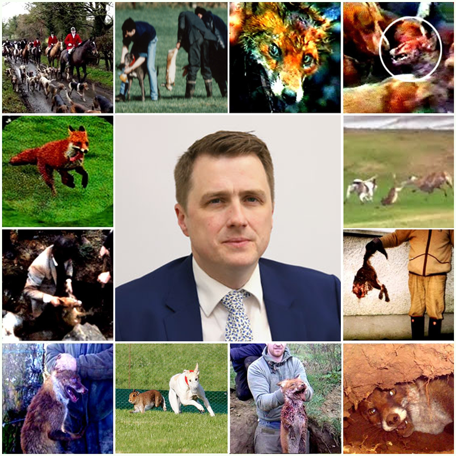 banbloodsports's tweet photo. James Browne TD (Fianna Fail, Wexford) has shamefully voted AGAINST proposed bans on cruel hare coursing and fox hunting in Ireland https://t.co/7aOcsgTujK #Ireland #AnimalCruelty #Shame https://t.co/ZcA8qNHlzT