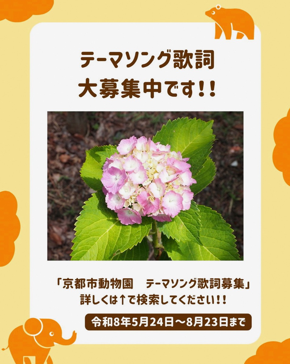 JoshStynes2's tweet photo. まさかの土日は上映ないし、平日は1日1回しかも0:00近くに終わるレイトショーしかない....🥲🥲🥲
こんなのファン以外誰が観に行くん....😭公開してまだ2週間も経ってないのに干されはじめてる.... https://t.co/NLRd2USKGW