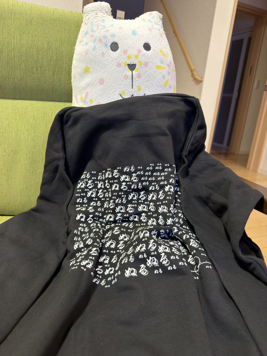 null²のクラファン null²のカケラとぬるパーカー 返礼品が届き、先ほど 