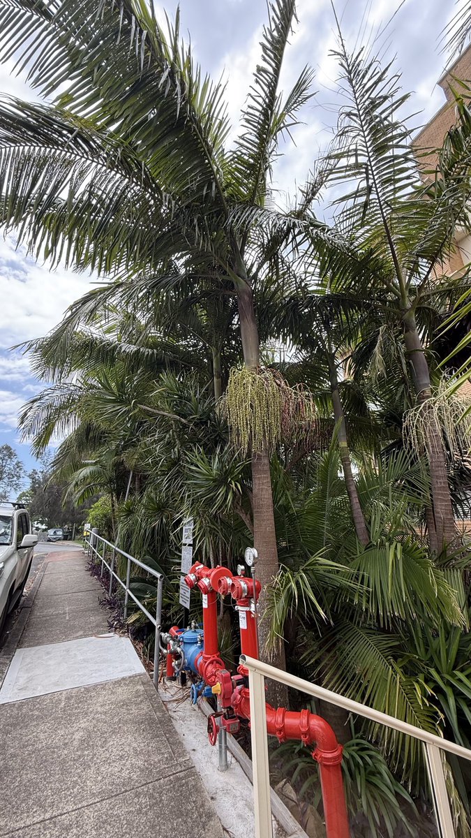 wapple15's tweet photo. Narrabeen ๐ฆ๐บ #FireHydrantFriday https://t.co/wFyzjHrxOv