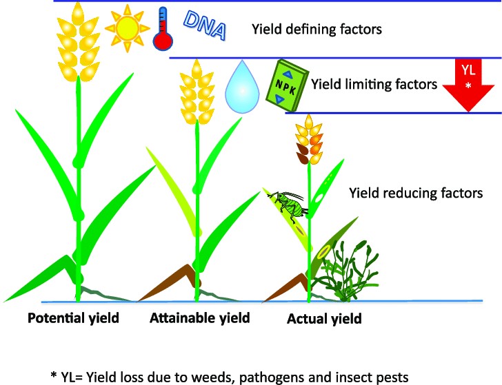 omexag's tweet photo. It's that time of the season when one re-assess the performance of the crop, the upfront fertility, stress factors and what can be done to preserve yield and quality. DM your #OmexRep and explore solutions from #OmexCanada #Spray26 #WestCdnAg https://t.co/LVn3wHlXUQ