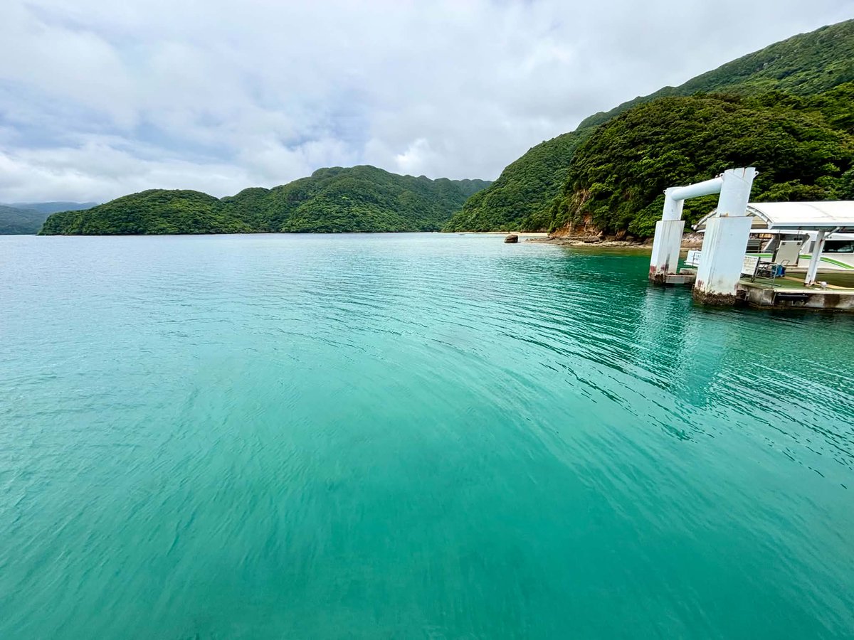 josada12's tweet photo. ふなう��！【写真】
どうなってんの

写真と続きはこちらで...『海への誘い(うみへのいざない）』 https://t.co/yuhqjCQuc3

#ふなうき
#船浮の集落
#ふなうきフェリー
#港ですら
#西表島延泊 https://t.co/WI1DYh55WU