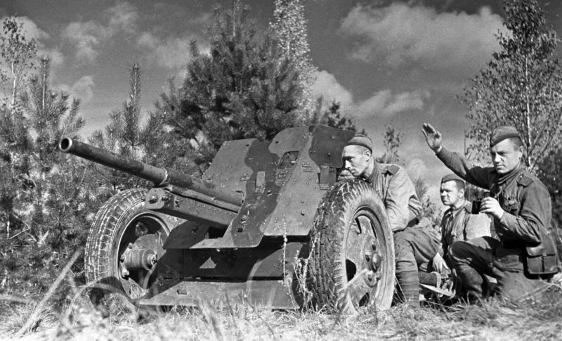Tank_Archives tweet picture