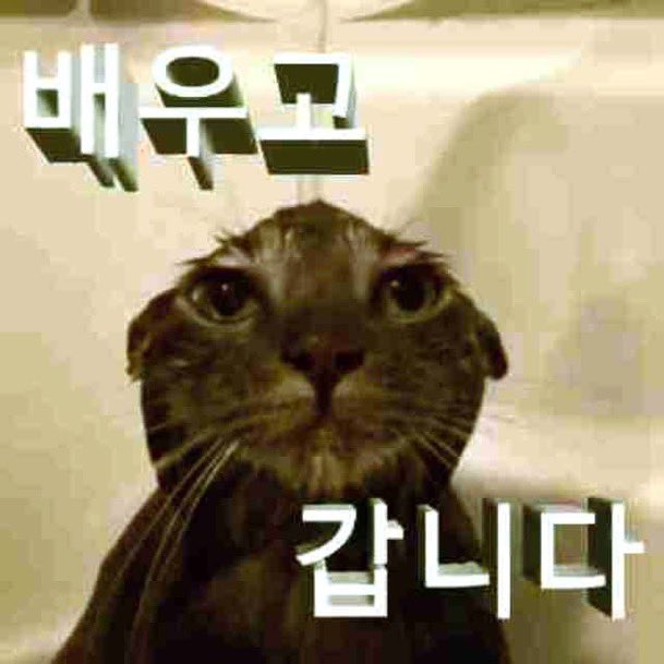 giveF6visa's tweet photo. 아… 저런게 유행인지 몰랐어… https://t.co/Dp2cikDIUh