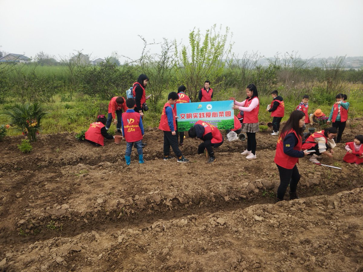 ktmdvy's tweet photo. Come join our community garden day this Sat 9am at Central Park! Plant veggies, meet neighbors u0026 grow fresh food together—all skills welcome! https://t.co/lKEwAVzXTz