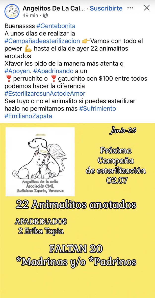 angiemaycolunga's tweet photo. #Esteriliza🐱🐶 #Amadrina #Apadrina
@mageba04 @VialidadXalapa @AbelMucino @tierraverde1943 @pilykuera @CECILLIA36 @sara_juarez @Ydlan @fherciencias @camellinlove @ArrezEdda @penelopemoncayo @Pechmed @mayteponm @gabyhvictoria @PopColorsXal #EmilianoZapata #Xalapa #Estanzuela RT https://t.co/rgqQu7XmnK