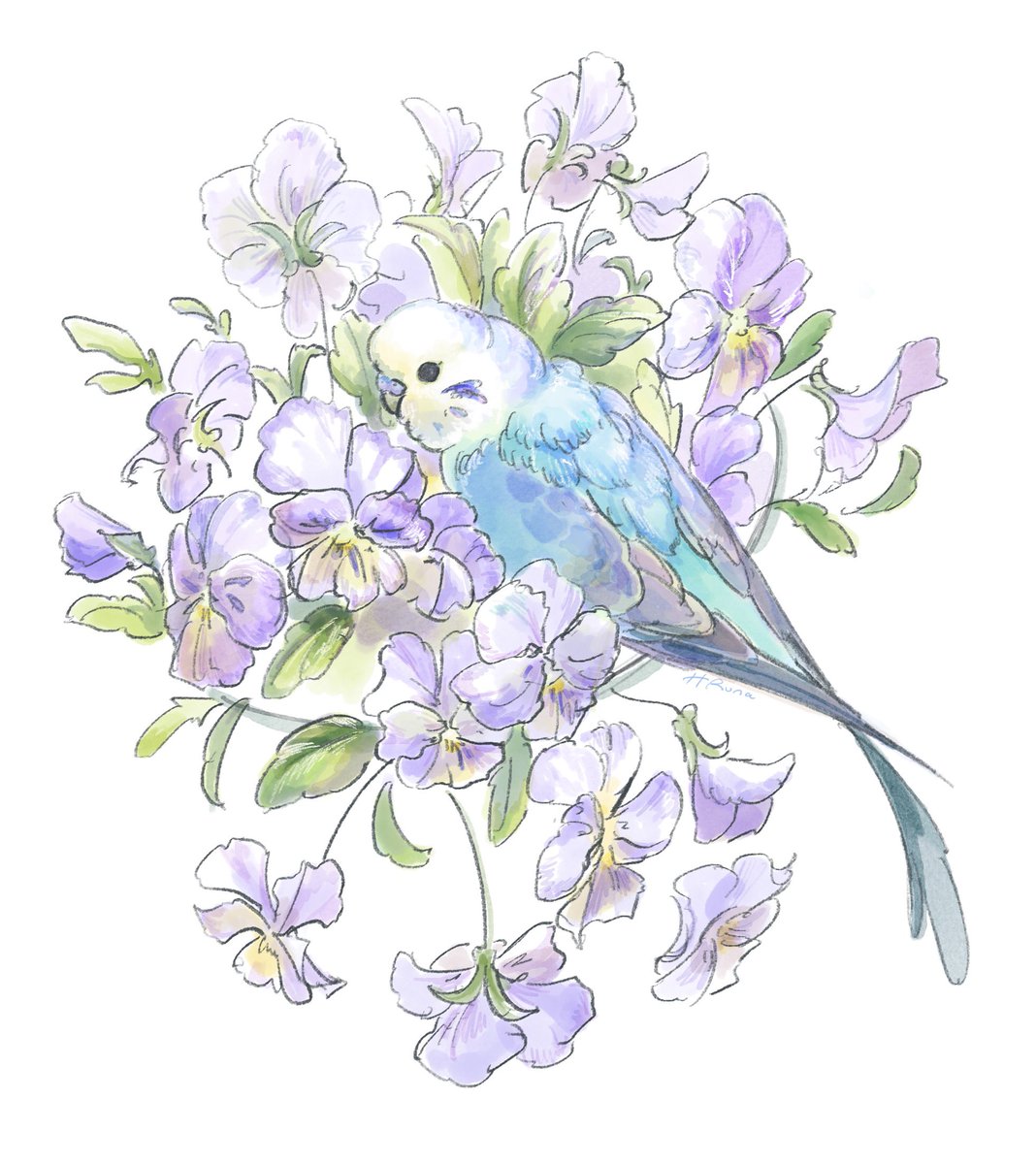 Runa60607's tweet photo. 🌷🦜 https://t.co/SHZMyMeJA0