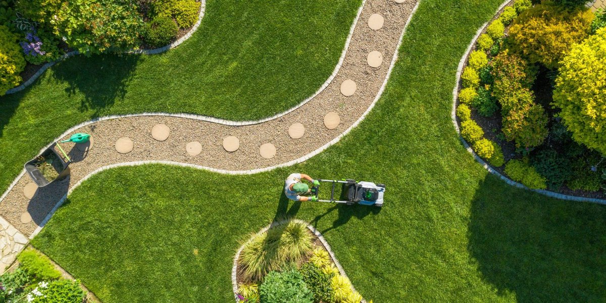 CreateAMirage's tweet photo. What is resilient landscaping?

We thrive on building outdoor spaces that are adaptable towards environmental challenges - especially in Alberta. #landscaping #LandscapingTips #landscapedesign

https://t.co/OouepJsoe1 https://t.co/dkznqXPUMb
