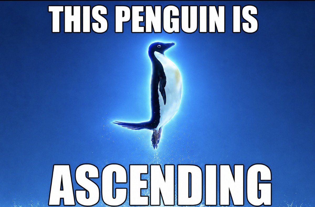 AXbpm128's tweet photo. @cryptojourneyrs @jakepaul Only up Rodney like this penguin 

$Ascend https://t.co/HhvPEBAont