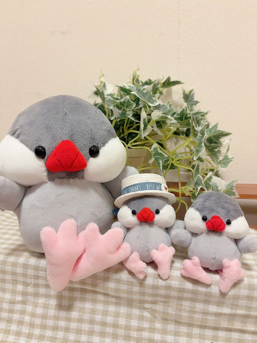 pukubun's tweet photo. 【お品書き】✨RP嬉しいです✨

尾張文鳥博
7/18(土) Open 11:00〜16:00
7/19(日) Open 10:00〜15:00
名古屋吹上ホール
第2ファッション展示場

PUKUBUN GARDEN 
文鳥のぬいぐるみ、ぷくぬいをメインに直販、全て手縫い手作業で作っています
宜しくお願い致します⋆⸜(* ॑꒳ ॑* )⸝⋆🐥
#尾張文鳥博 https://t.co/esWEaOqDWW