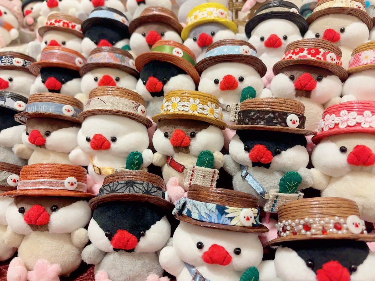 pukubun's tweet photo. 【お品書き】✨RP嬉しいです✨

尾張文鳥博
7/18(土) Open 11:00〜16:00
7/19(日) Open 10:00〜15:00
名古屋吹上ホール
第2ファッション展示場

PUKUBUN GARDEN 
文鳥のぬいぐるみ、ぷくぬいをメインに直販、全て手縫い手作業で作っています
宜しくお願い致します⋆⸜(* ॑꒳ ॑* )⸝⋆🐥
#尾張文鳥博 https://t.co/esWEaOqDWW