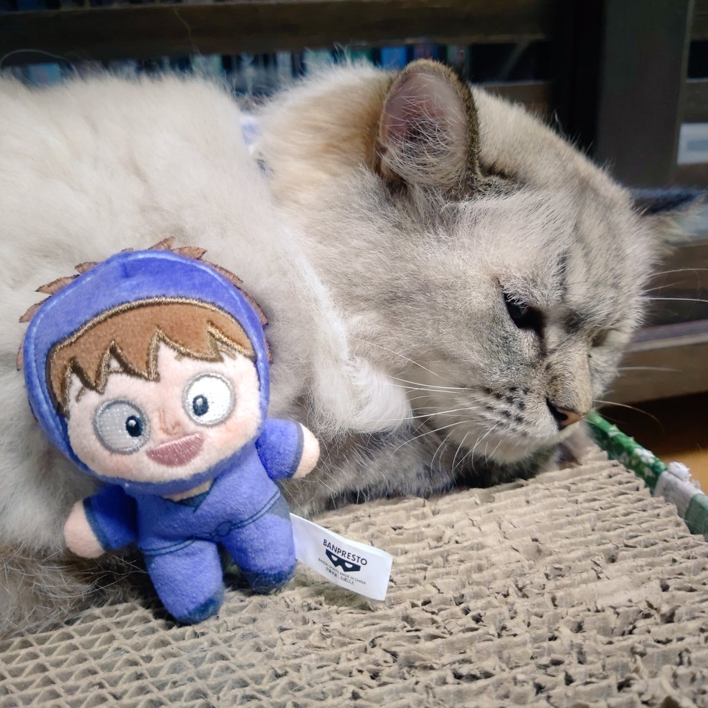Shinobi4_0's tweet photo. ⚡｢………………はっ！ここは……？｣

⚡｢化け猫の背中だ～っ💦💦｣ https://t.co/NC0s9QBYb9
