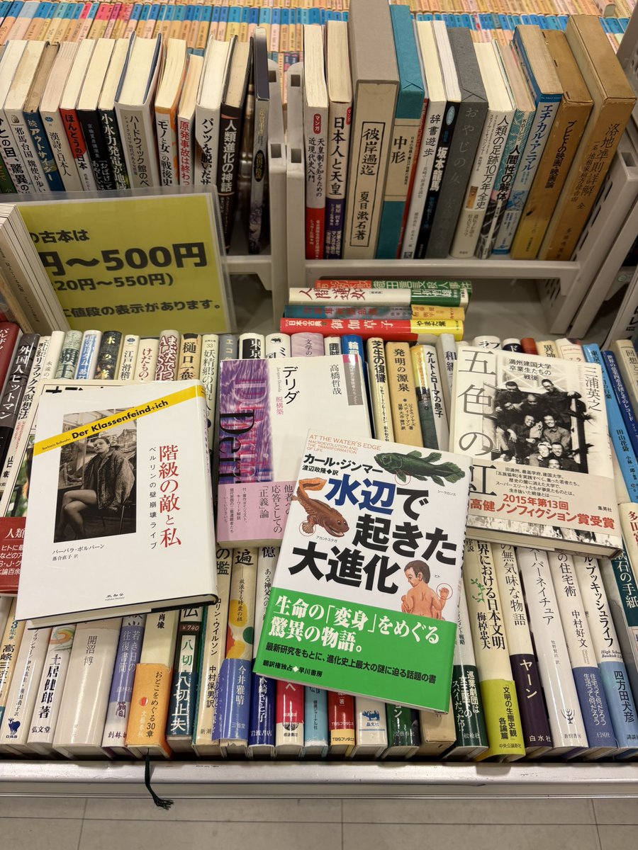 honhondouhakata's tweet photo. 「最後の古本まつり」
(ジュンク堂書店福岡店)

DVDワゴン一台を追加、
均一本も補充追加してます。
日程の半分を消化しました。

明日は天気も回復するよう
ですので、天神に来られる方、
よろしくお願いします。 https://t.co/R8hgxCEJbm
