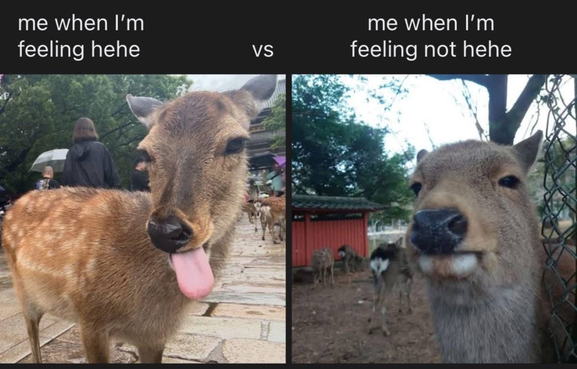 nocontextmemes's tweet photo. https://t.co/DRVB0zOxVl