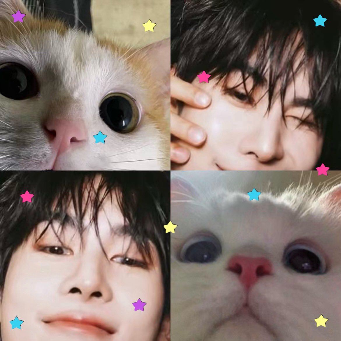 bumucremel's tweet photo. พบเจอแมวเหมียวเล่นกล้อง 🐈‍⬛ ♡ https://t.co/hnnjpdqRcb
