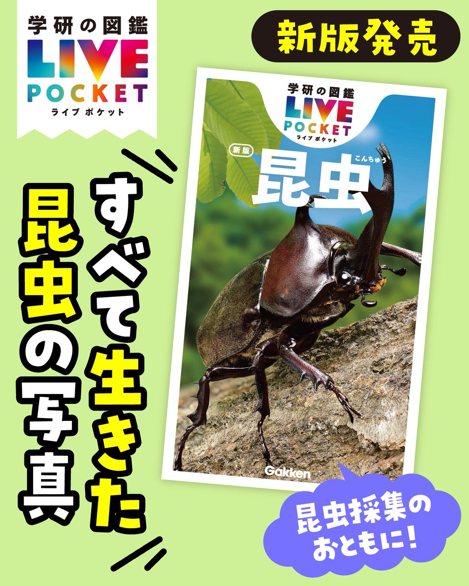 🌟新刊発売🌟 『学研の図鑑LIVEポケット 昆虫 新版』 ＃昆虫 採集の