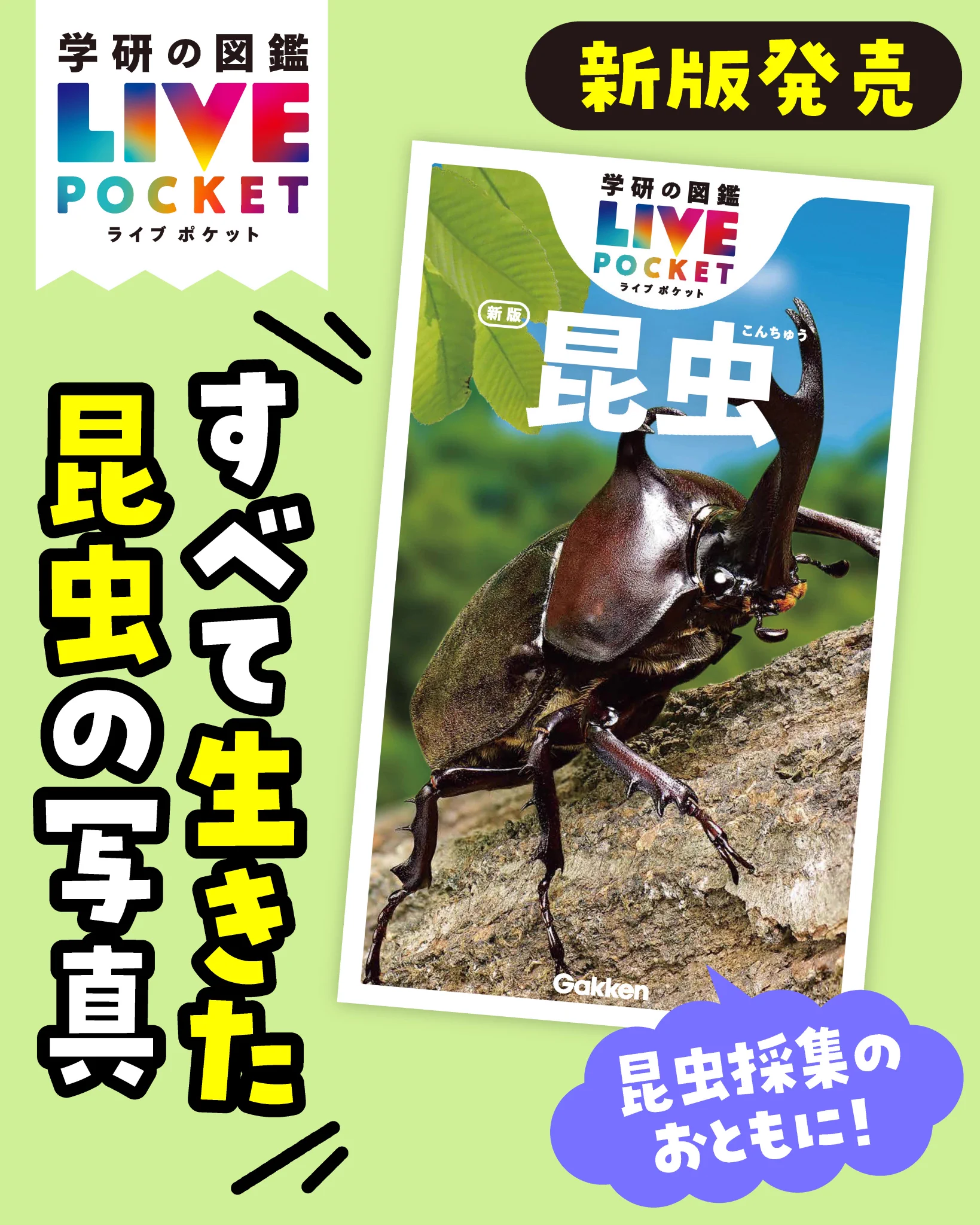 学研の図鑑LIVE 〈公式〉 på X: 