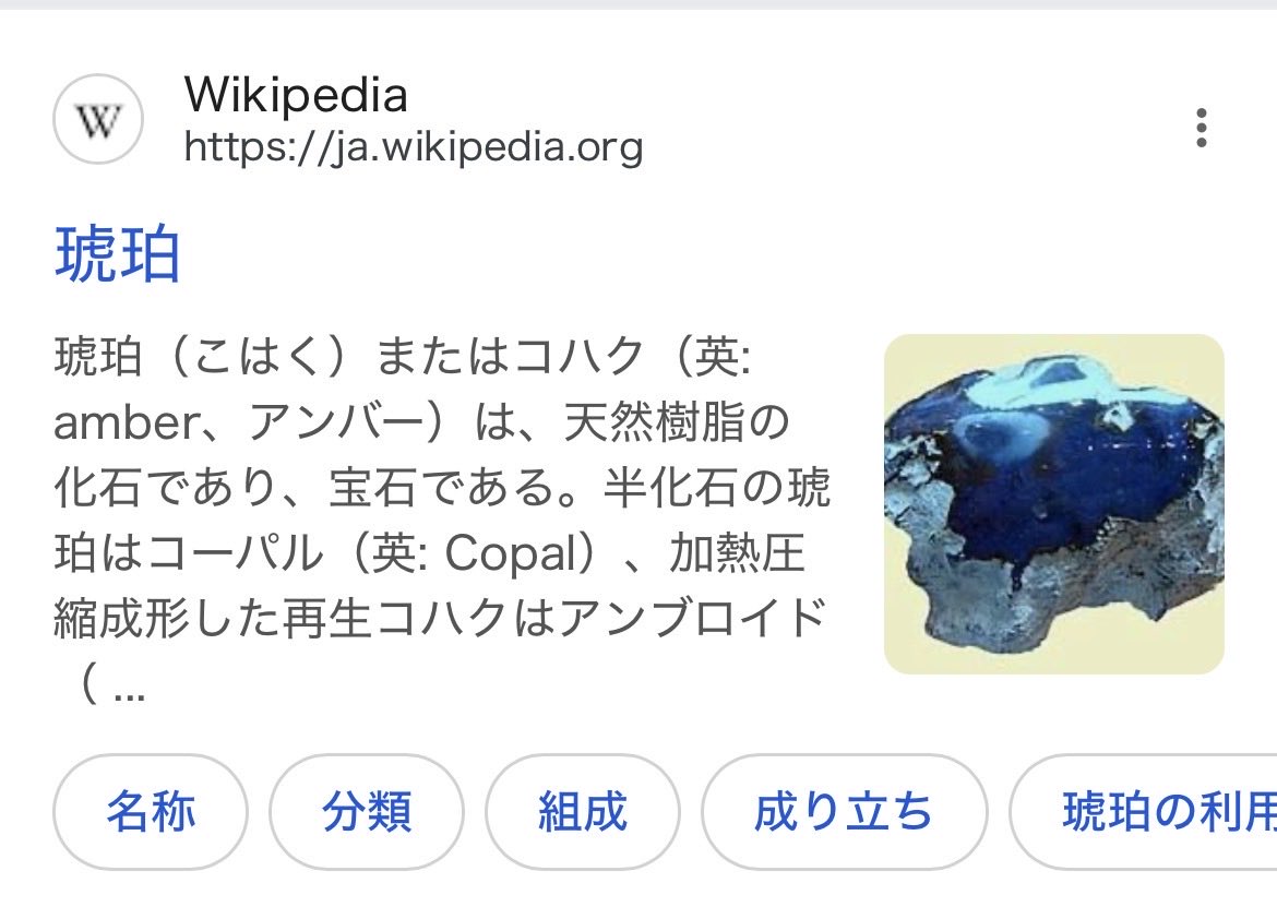 taronvv's tweet photo. 白い毛並みのハクと
目の色の意味もこめてコハクにした

一緒に悩んでくれてラブ🫶🏻💗 https://t.co/fF0OLsrhjr