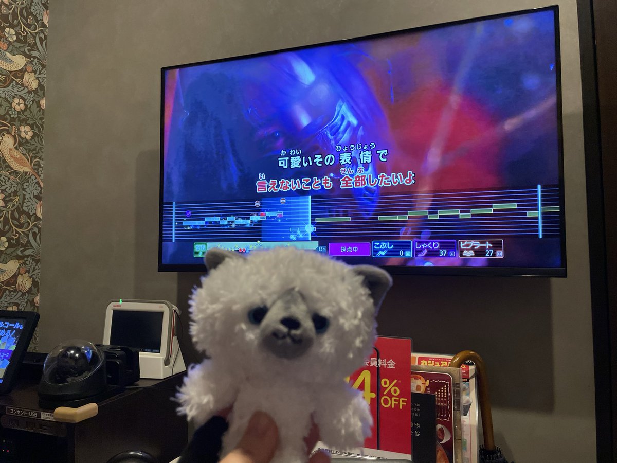 taronvv's tweet photo. 白い毛並みのハクと
目の色の意味もこめてコハクにした

一緒に悩んでくれてラブ🫶🏻💗 https://t.co/fF0OLsrhjr