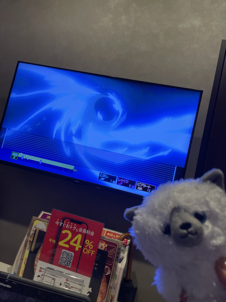 taronvv's tweet photo. 白い毛並みのハクと
目の色の意味もこめてコハクにした

一緒に悩んでくれてラブ🫶🏻💗 https://t.co/fF0OLsrhjr