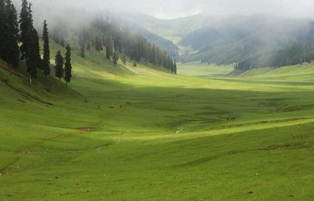 ShubhamPathakIN's tweet photo. Bangus Valley
Kupwara District, Jammu &amp; Kashmir, India 🇮🇳 https://t.co/IeiyfjMt1N