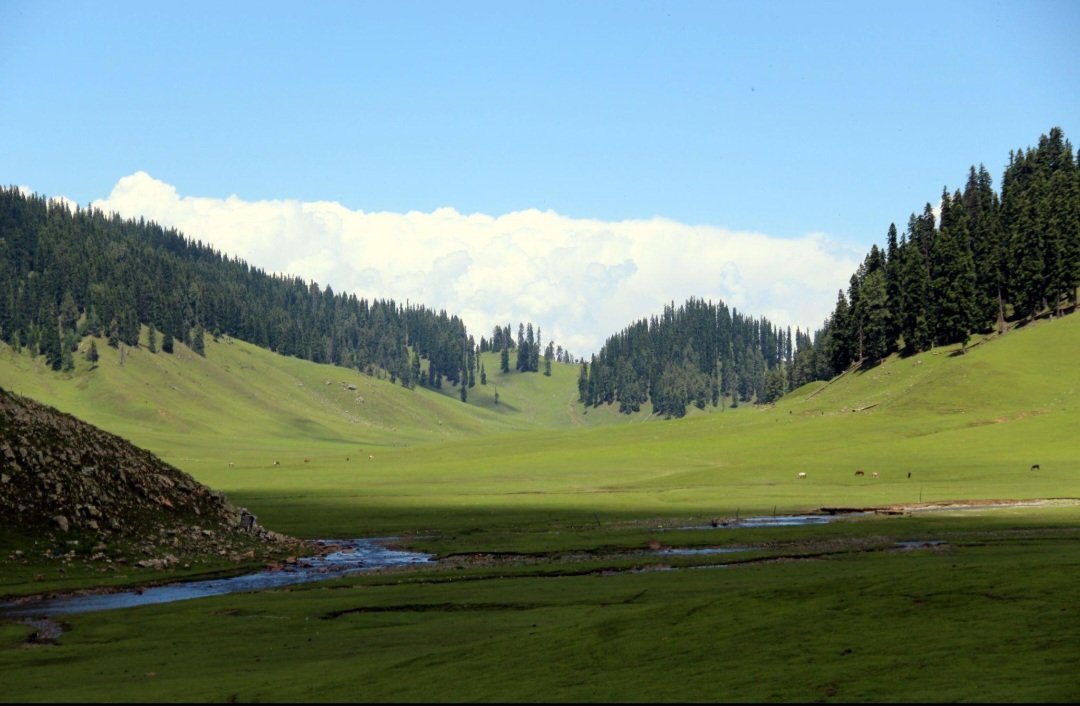 ShubhamPathakIN's tweet photo. Bangus Valley
Kupwara District, Jammu &amp; Kashmir, India 🇮🇳 https://t.co/IeiyfjMt1N