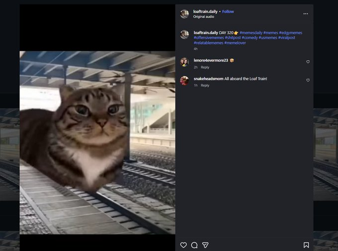 JohnyObrien's tweet photo. This is the best deriv to Traindog, it's been posted everyday for a year now

It's currently sitting at 1m

It's currently on Day 320 which got posted 4hours ago

The meme is called "Loaftrain" not "Traincat"

https://t.co/sO522vsICz

Send the correct cat meme https://t.co/HvTuYK6ckb