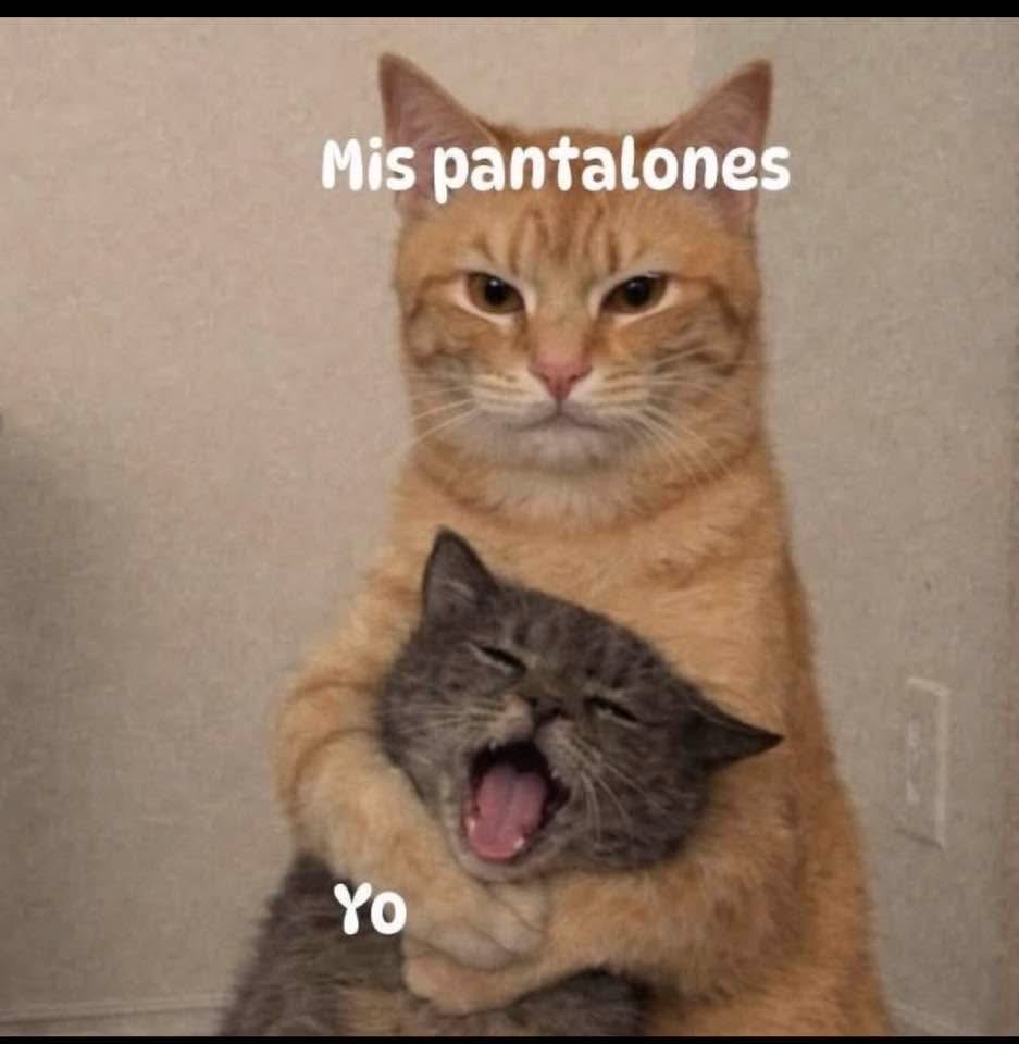 YarethGarcia21's tweet photo. Por eso ya me compré otros… 🤭🤣 https://t.co/isdxiaANg8