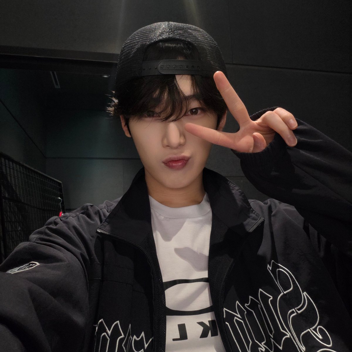 🦊🌻 | fan account tweet media