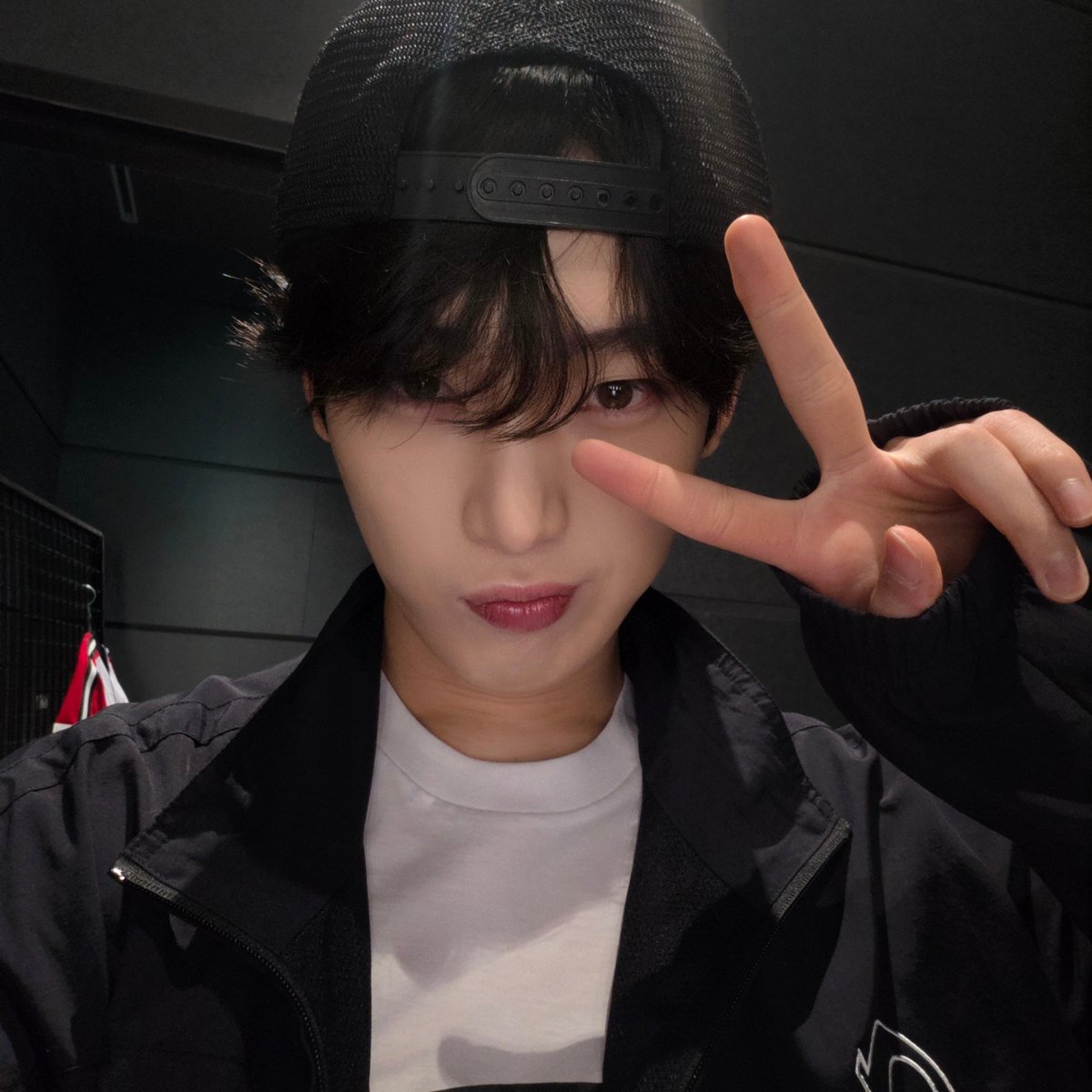 🦊🌻 | fan account tweet media