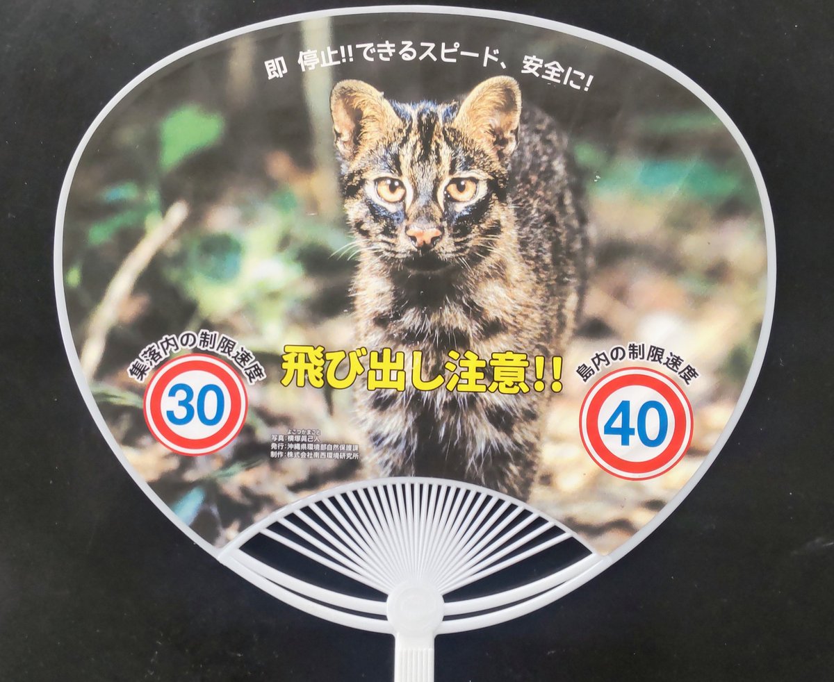 meke711's tweet photo. な～んだ？近所のタマじゃないよ😂 https://t.co/j91qdgMMUr
