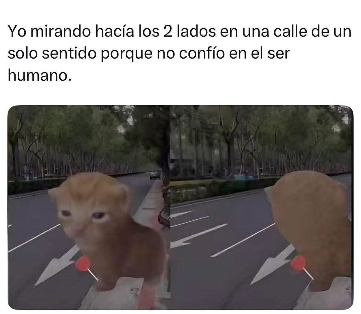 RincnCuriosoo's tweet photo. Se le dice prevención. https://t.co/wOxMgtNllk