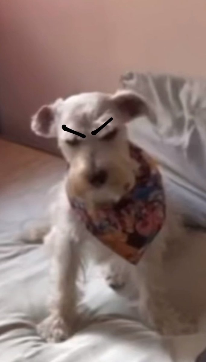 Bx293_A's tweet photo. Soñé como 4 veces con ella en una sola noche...me despertaba azarado de un sueño con ella para inmediatamente dormirme otra vez y volver a soñarla...otra vez tengo un mal presentimiento y la última vez que sentí que algo iba a pasar no me equivoqué... https://t.co/jqIum6Zr21