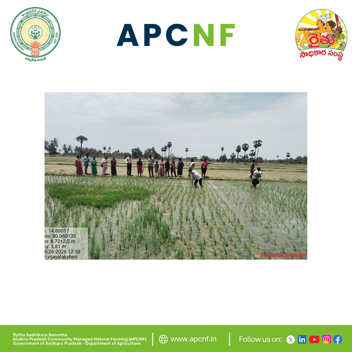 APZBNF's tweet photo. Rythanna Mee Kosam: Strengthening Natural Farming through Bio-Input Resource Centres (BRCs)

Today, as part of the RMK Programme, we conducted a BRC Theme Visit at the Bio-Input Resource Centre of Sri Kondayya in Chowkicherla Village.

A Bio-Input Resource Centre (BRC) is a one-stop centre for Natural Farming. It provides farmers with quality bio-inputs, seeds, technical guidance, and supports them in adopting Natural Farming practices. BRCs also help farmers market their Natural Farming produce, creating better livelihood opportunities within the village.

During the visit, Natural Farmer Sri Mallikarjuna and his son shared how BRCs are helping farmers access quality inputs locally and reduce their dependence on external inputs. They also explained how BRCs are becoming an important support system for strengthening Natural Farming in villages.

The interaction with farmers and community cadres highlighted the importance of community-owned BRCs in building self-reliant villages and expanding Natural Farming.

Bio-Input Resource Centres – By the community, for the community.

@vijaythallam  @AndhraPradeshCM @ap_agriculture
@rajbudithi65 @icarindia
@AgriGoI @APZBNF 

#APZBNF #RySS #NaturalFarming #BRC #CommunityLedDevelopment #HealthySoilHealthyFood