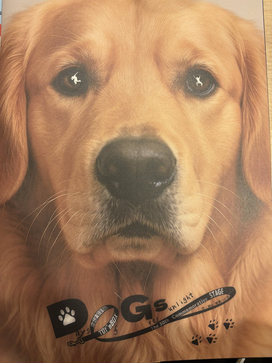 senacosenaco's tweet photo. TOY'sBOXさんの『DOGs〜Days Of Gray Sunlight〜』初日観劇しました🙌

それぞれのキャラが愛らしい動物たちでテンポ感のいいコメディや泣けるシーンも😭
ダンスも4曲と盛りだくさん！賑やかで華やかでとても面白い作品でした✨️

あと2日間28日(日)までです！
千秋楽まで応援しています！

 #DOGs30 https://t.co/X66N1MC4Xx