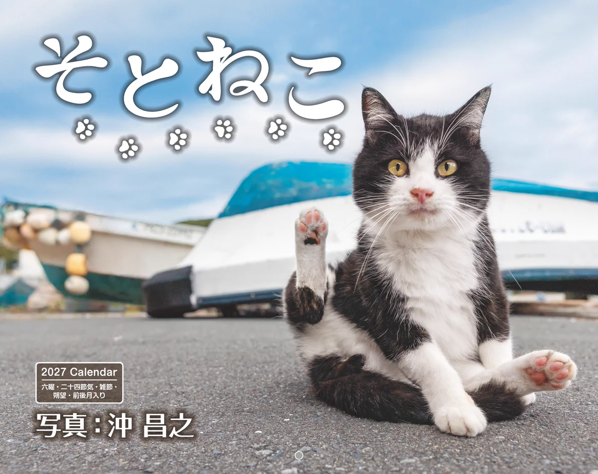 猫写真家 沖 昌之 (MASAYUKI OKI) on X: 