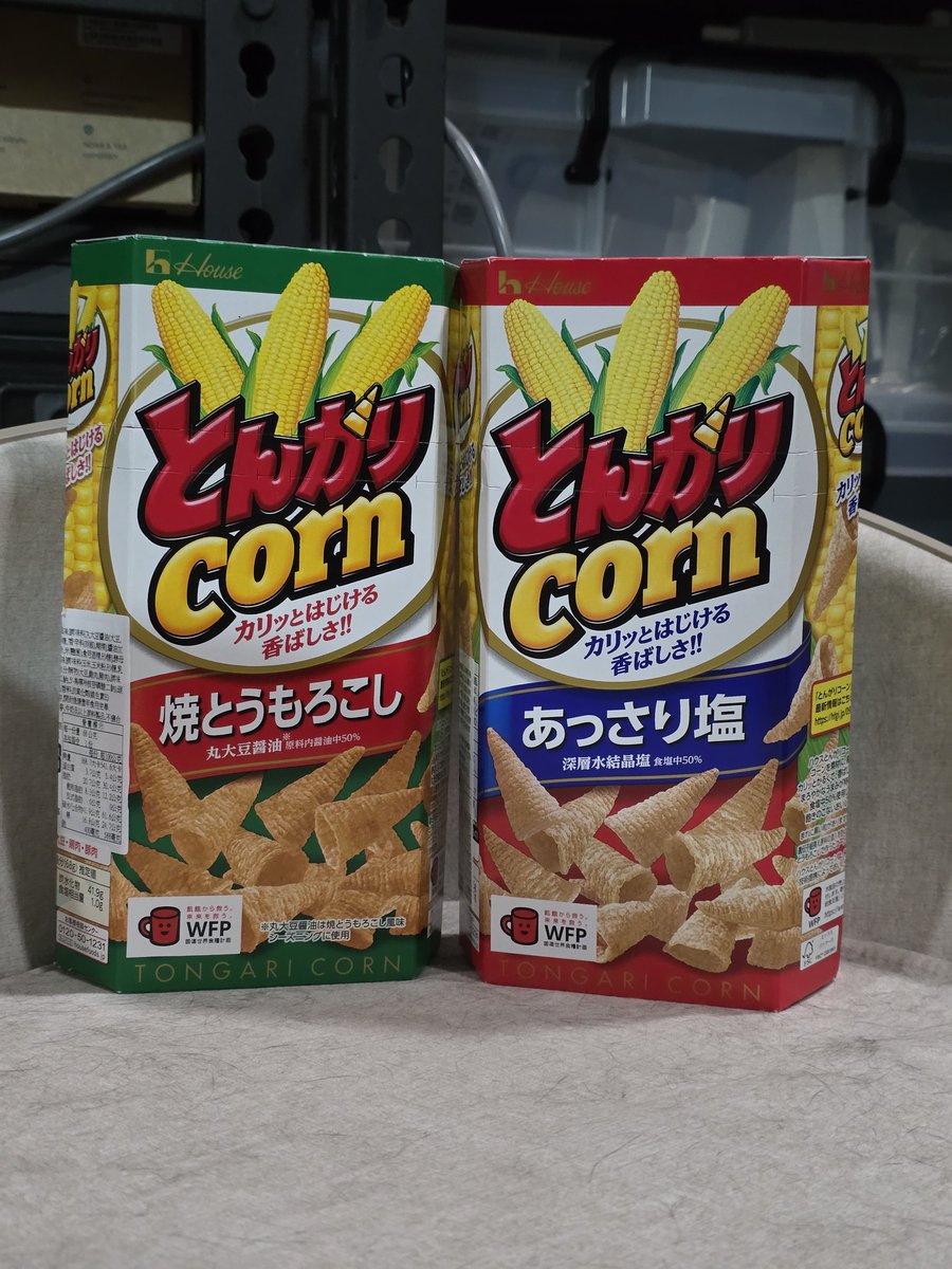 emiljou's tweet photo. とんがる https://t.co/tsjPD75qj3