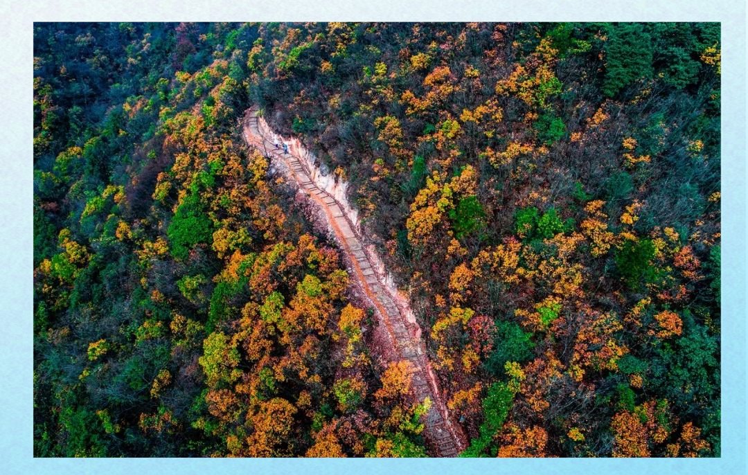 SRCMUASQZl53TyO's tweet photo. Join our photography club’s outdoor shoot this Saturday! Capture autumn vibes at the city park, make friends, and polish your skills. Sign up via link in bio—spots are limited! https://t.co/4pXiri2OHt