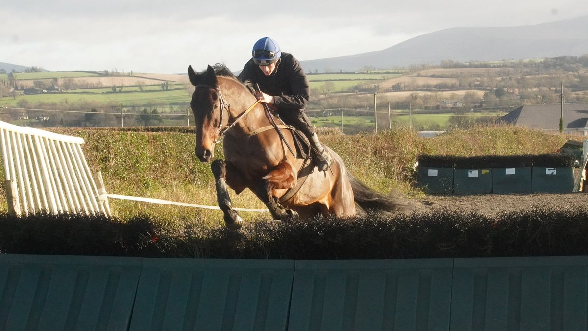 jhanlonracing's tweet photo. One runner today at @BangorRaces 

8:53 - Roxboro River, pictured (@PaddyHanlon5)

Best of luck to connections @EventmastersUK https://t.co/zHT7SR59qy