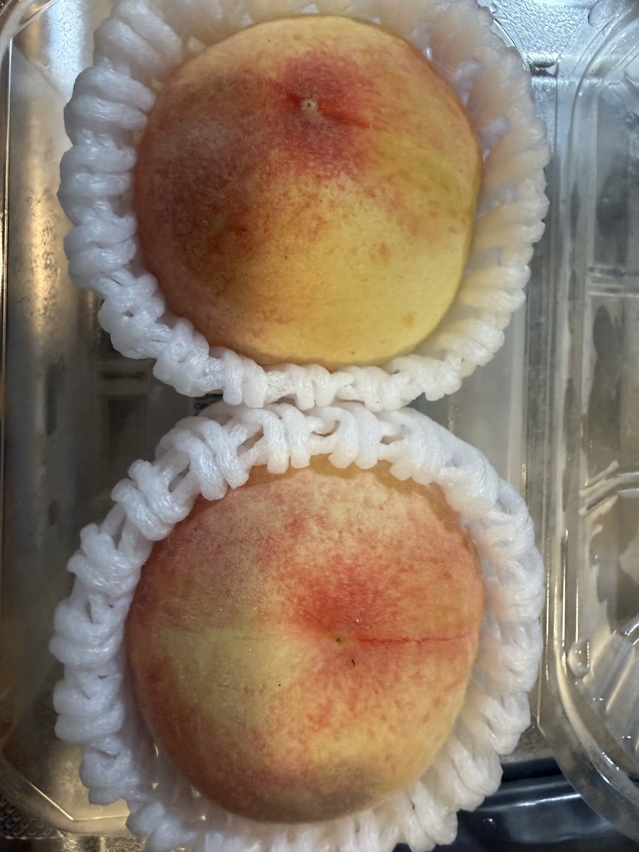 TUNEYAMA6's tweet photo. 🍑もも食べる！
どっち？？ https://t.co/asoICB66xN