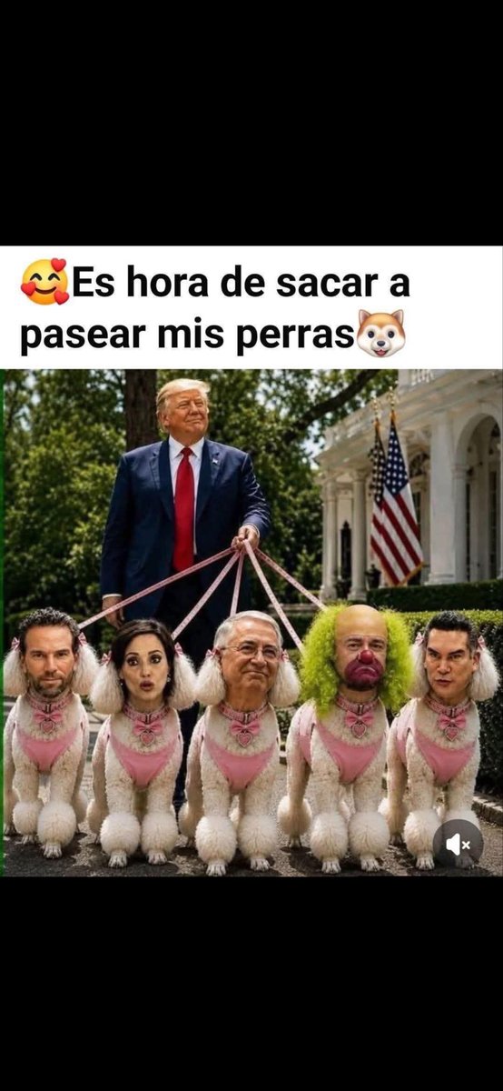 mundo01419068's tweet photo. @catrina_nortena Ahora serán Nombradas ( LAS PERRITAS DE TRUMP,Por el Pueblo Sabio e inteligente,A Disfrutar lo Votado 🤣🤣🤣🤣🤣🤣🤣🤣🤣🤣🤣🤣🤣🤣🤣 https://t.co/PQ6rmIONoy