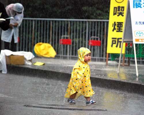Binta3da's tweet photo. 台風に緊急地震速報と田んぼがやべぇからちょっと見てくる https://t.co/on6VwtRPQX