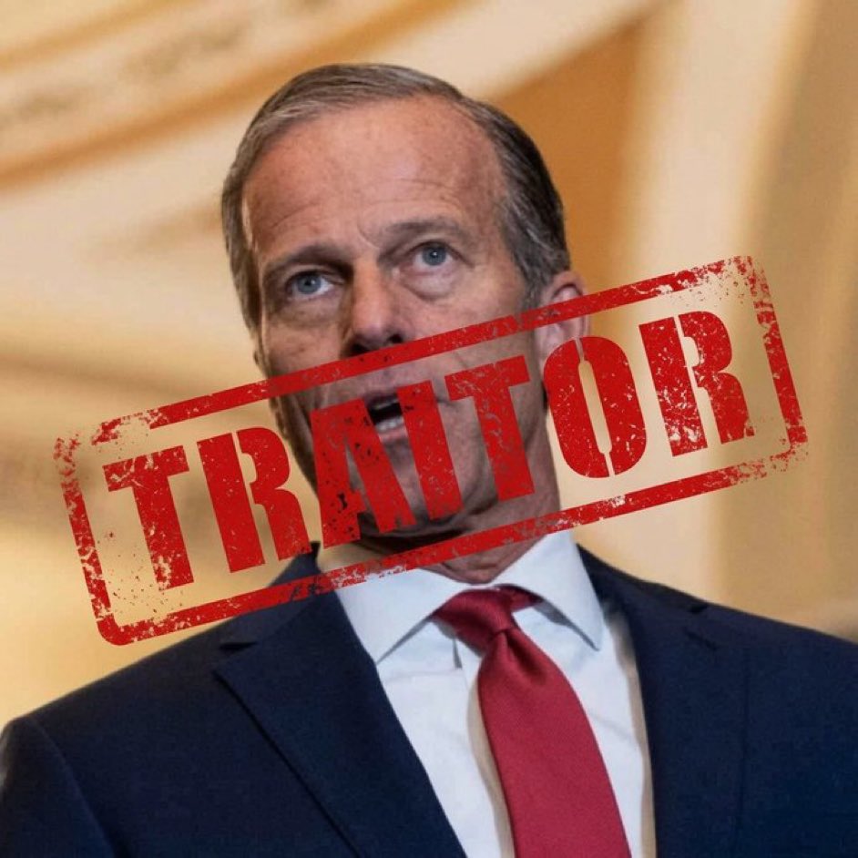 RBJazzy's tweet photo. @LeaderJohnThune @SecMullinDHS You
Are
Toast

You
Are
DISHONEST!

YOU made your bed and peed in it.

Lay in it traitor. https://t.co/FFlTGk2pgj