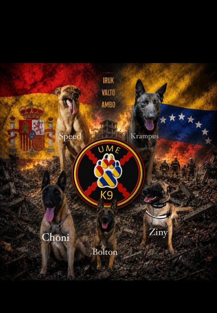 valentin_costa's tweet photo. Los mejores ya están en Venezuela y CHONI 🇪🇸🐕‍🦺🇻🇪 #venezuela https://t.co/UrUgWdvEmV