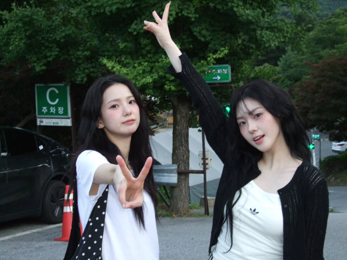 hu_ttan's tweet photo. 복실복실 강아지🍀💜🫳🏻🫳🏻🫳🏻 https://t.co/c35o2Zf1nk