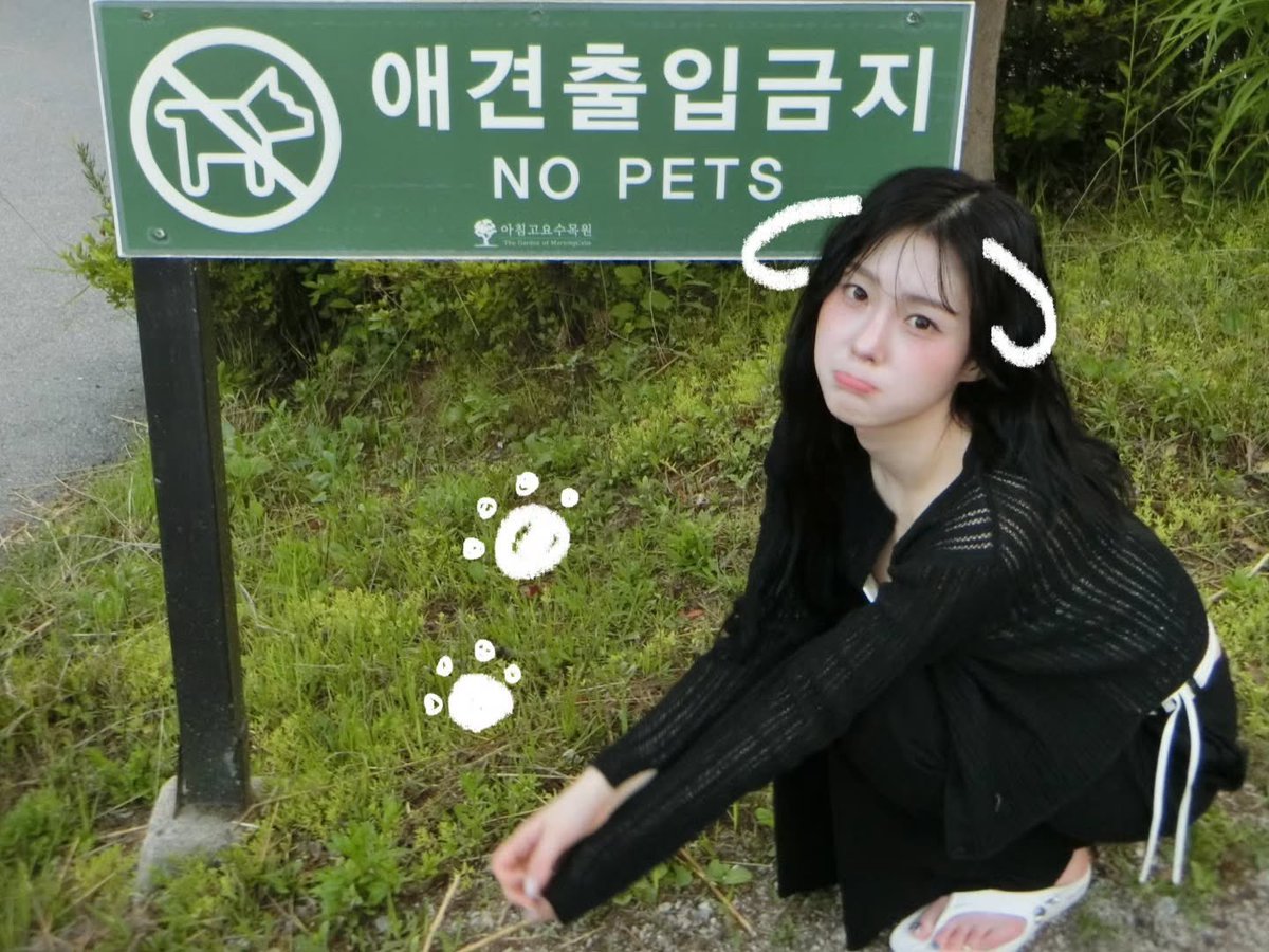 hu_ttan's tweet photo. 복실복실 강아지🍀💜🫳🏻🫳🏻🫳🏻 https://t.co/c35o2Zf1nk