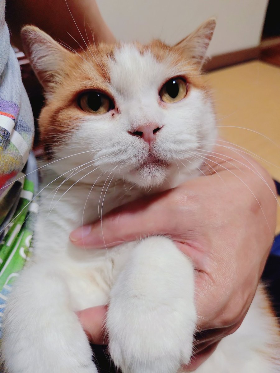 断捨離