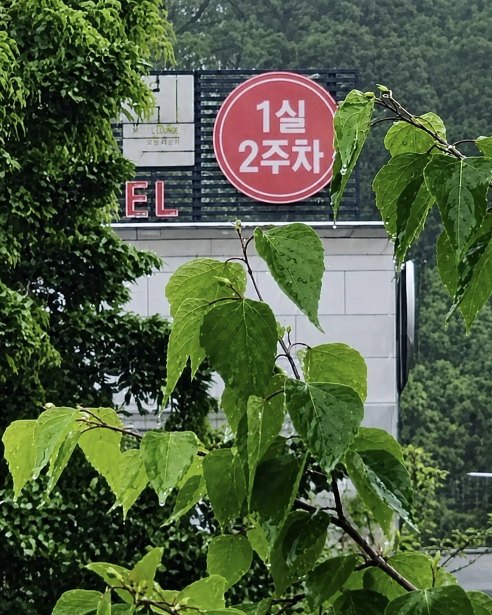 ཐིཋྀ 라디안(罗志安)️° tweet media