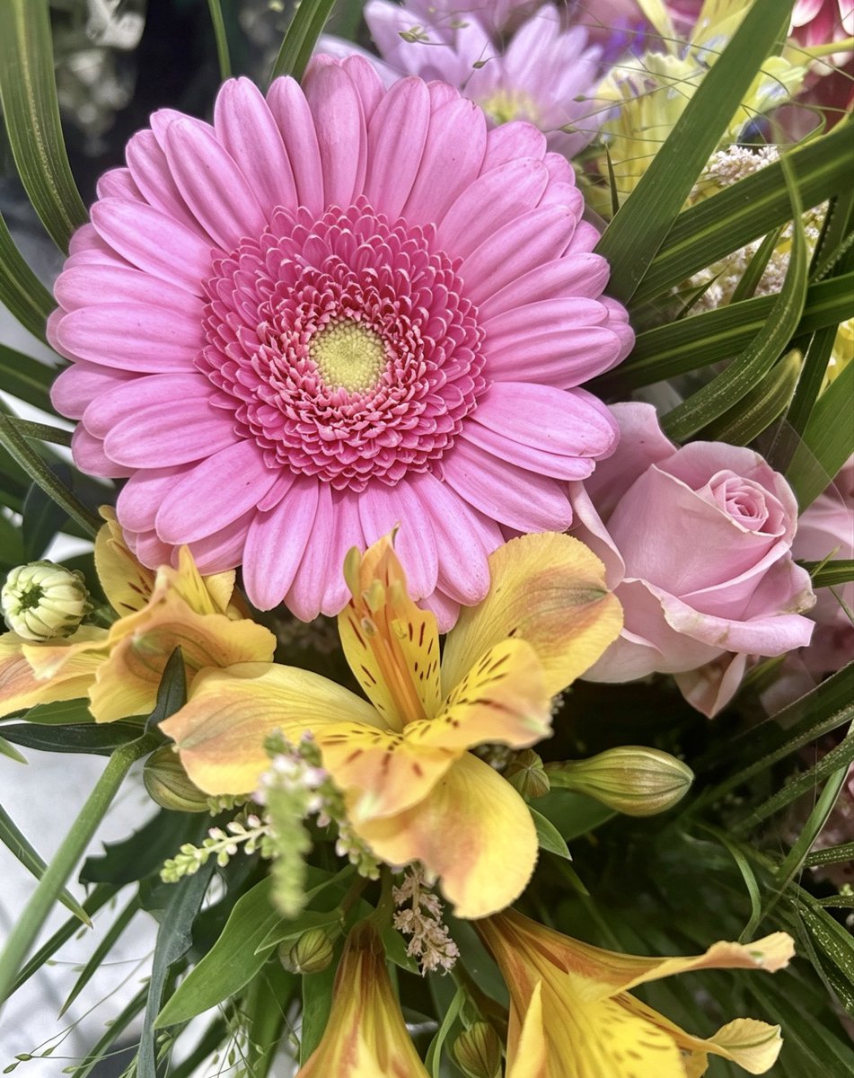 Nature4ue's tweet photo. The most beautiful day for all 🌸🌼🌿

📸 https://t.co/VX3z1giSLM